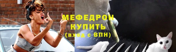 дживик Бородино