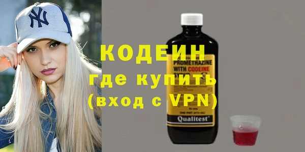 дживик Бородино