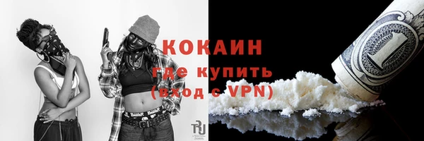 крисы Сосновка