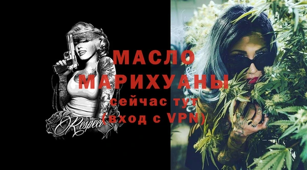 дживик Бородино
